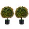 Costway 22'' Artificial Boxwood Topiary Ball Tree 2-Pack Faux Potted Plant w/Orange Fruit